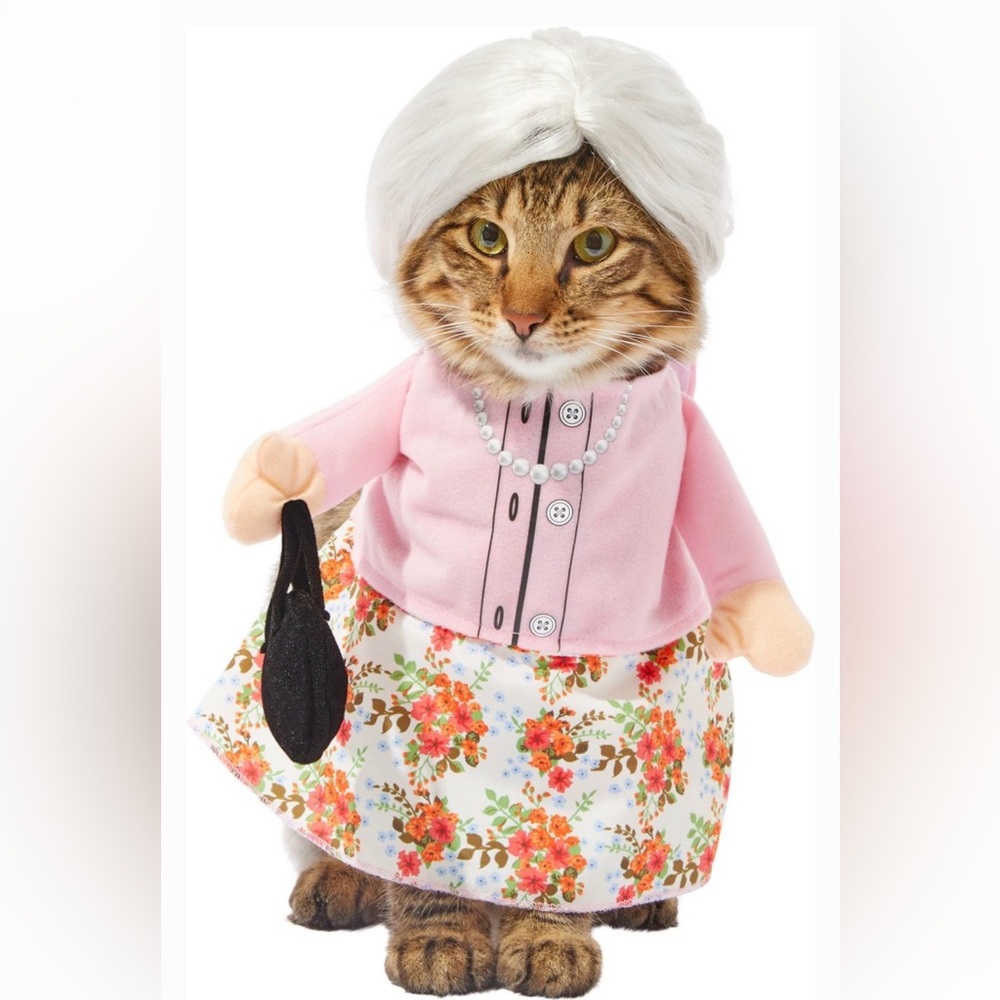 Grandma Pet costume NWOT - Picture 1 of 7